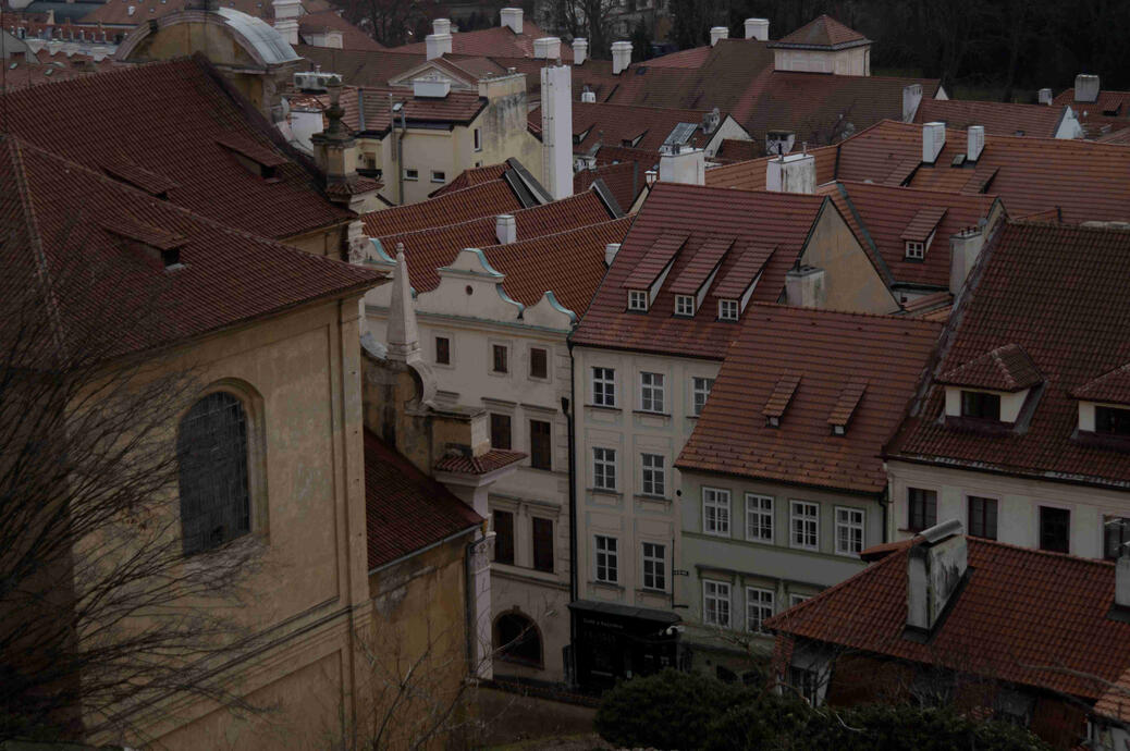 Little Life - Sony A57 (4,912 x 3,264)