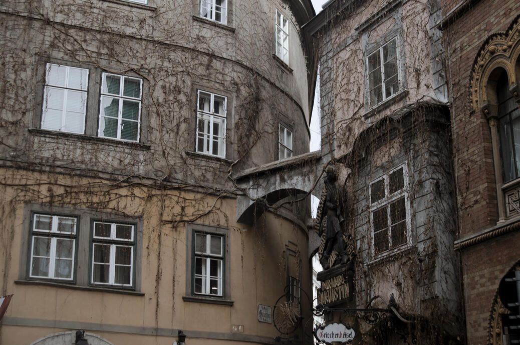 Tangled - Sony A57 (4,912 x 3,264)