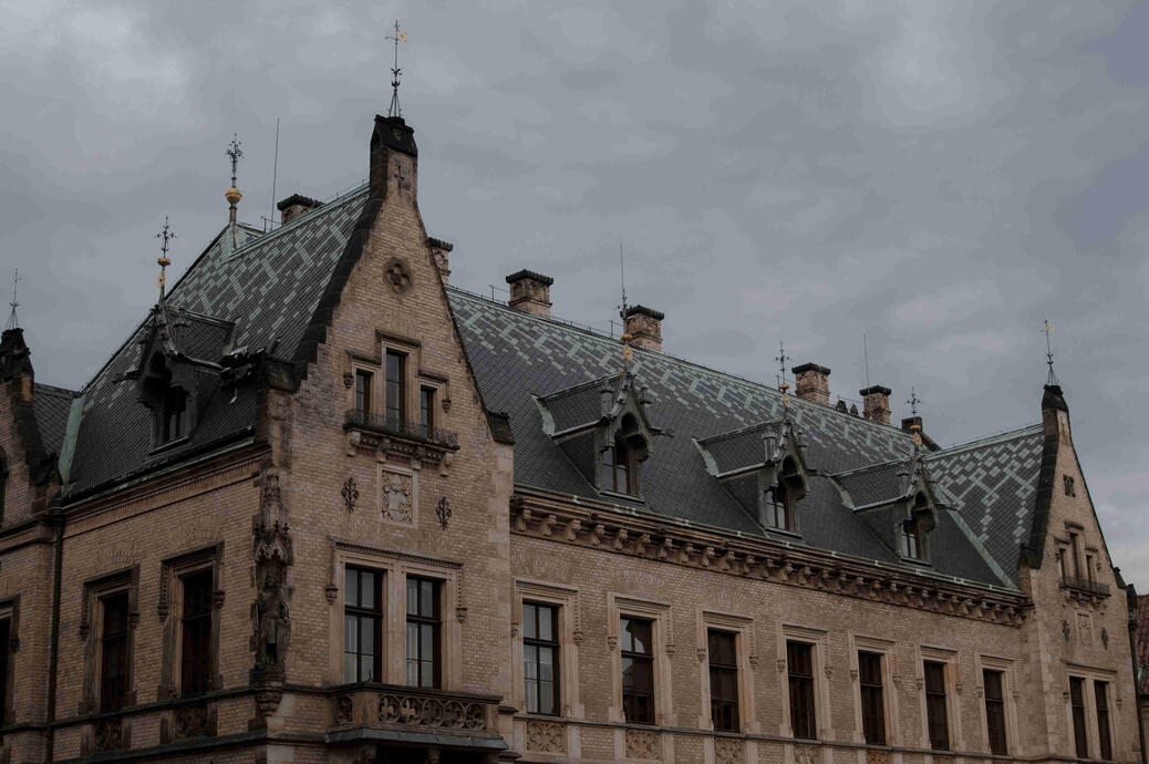 Adorned - Sony A57 (4,663 x 3,219)